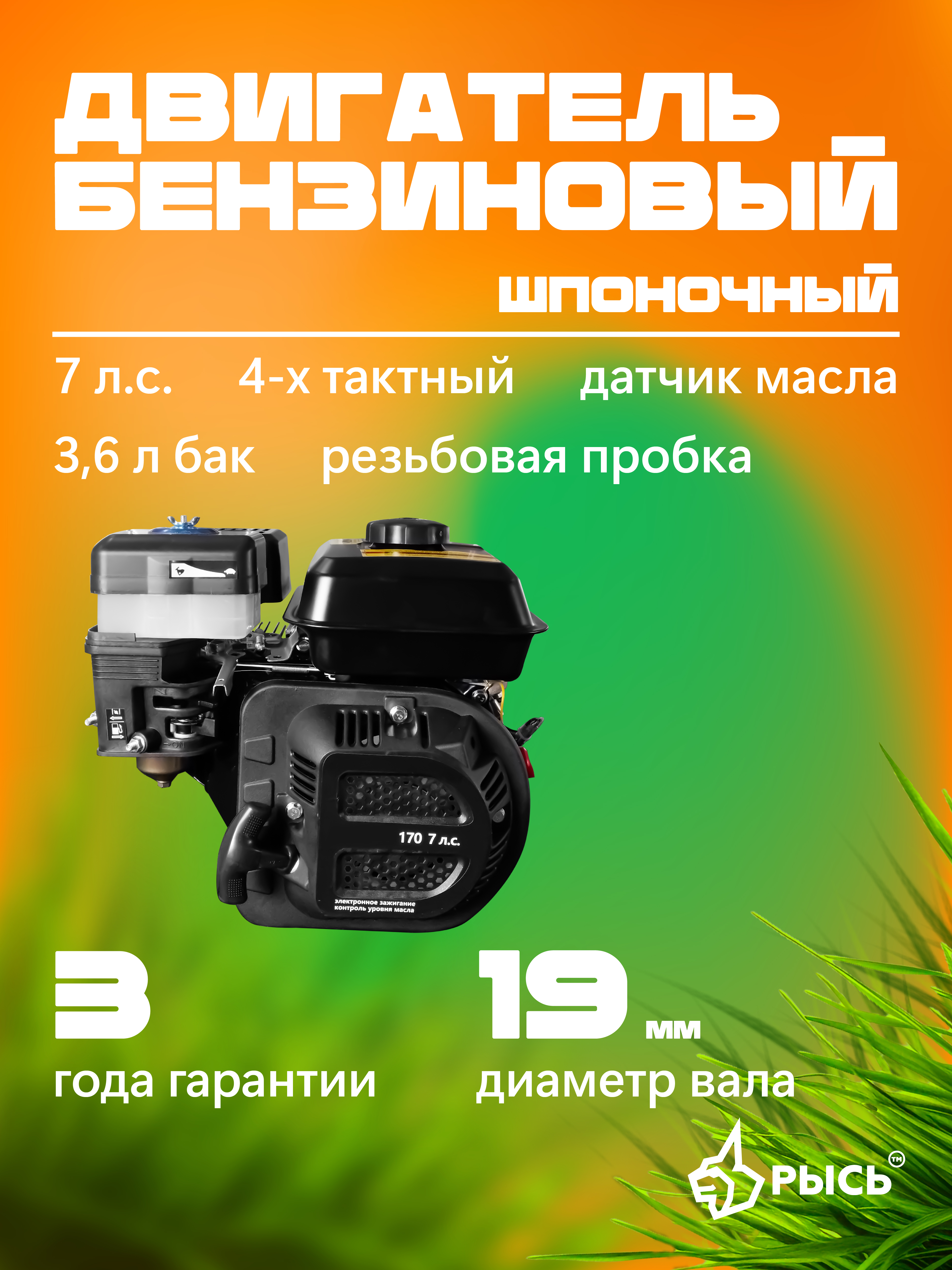 РЫСЬ Двигатели шпоночные 19 мм (LYNX) 19 мм new РЫСЬ Двигатели шпоночные 19 мм (LYNX) 19 мм new